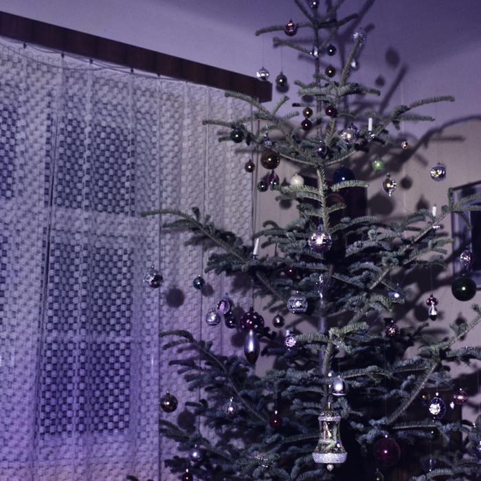 minerva_dn_1985_obiceiuri_de_iarna_004