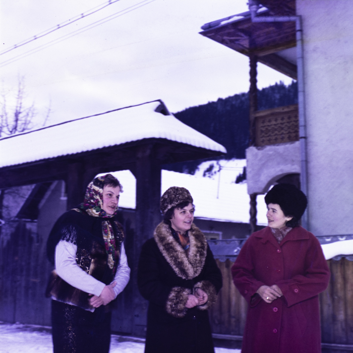 minerva_dn_1985_sadova_001