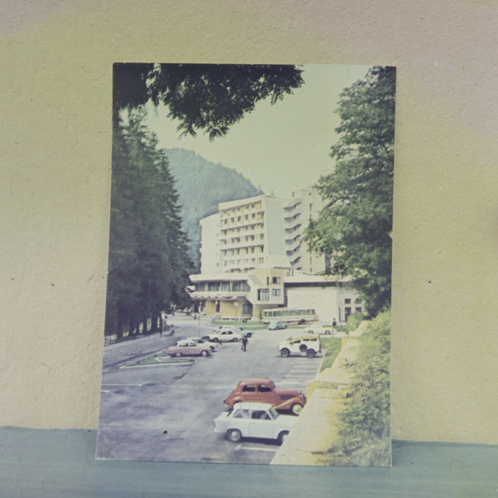 minerva_dn_1986_2805_reproduceri_004