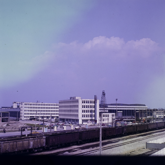 minerva_dn_1986_2811_aspecte_cringeni_004