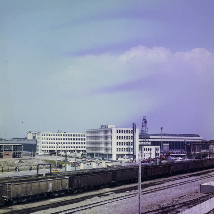 minerva_dn_1986_2811_aspecte_cringeni_005