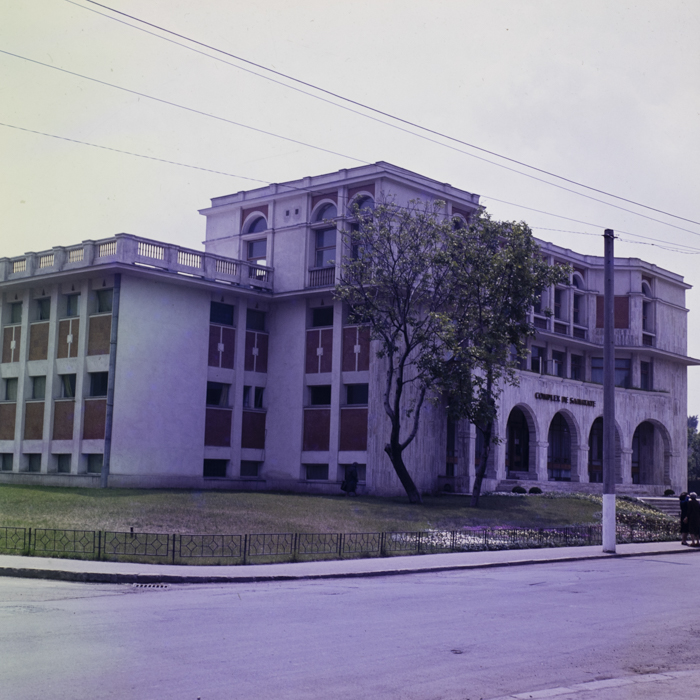 minerva_dn_1986_2811_aspecte_cringeni_009