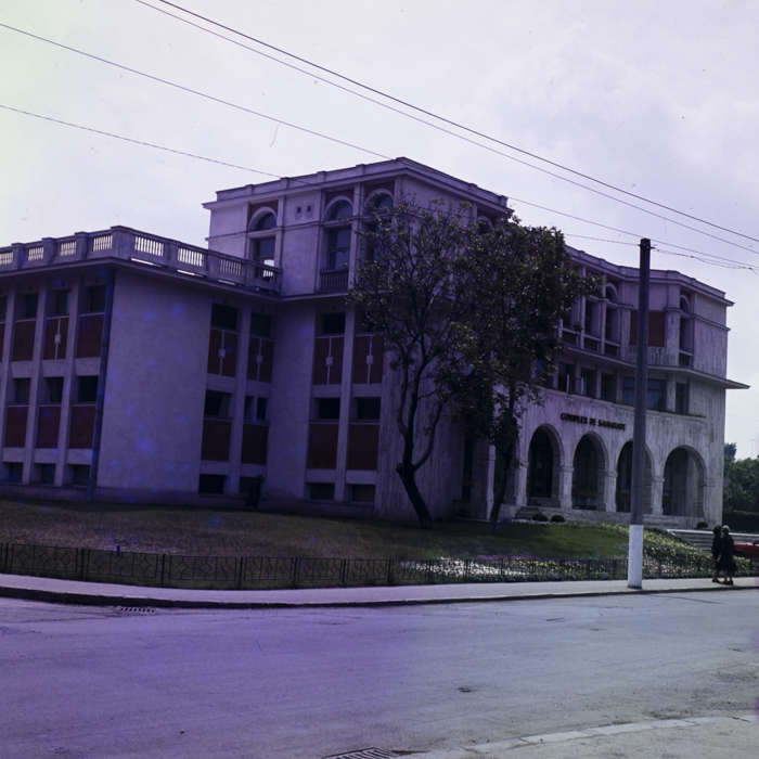 minerva_dn_1986_2811_aspecte_cringeni_010