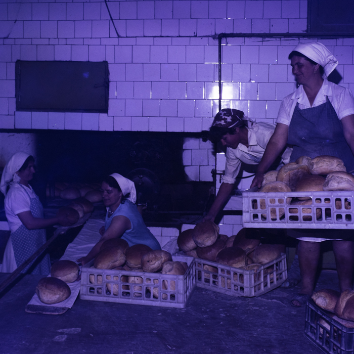 minerva_dn_1986_2812_cvasc_oinaciu_jud_giurgiu_004