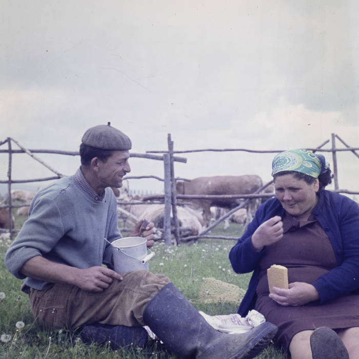 minerva_dn_1986_2818_ias_iernut_jud_mures_002