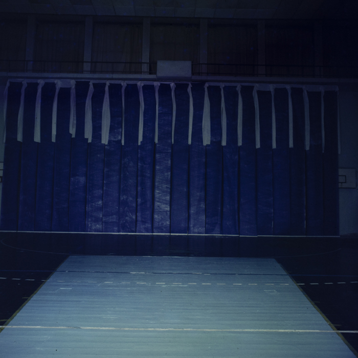 minerva_dn_1986_2820_reproduceri_004