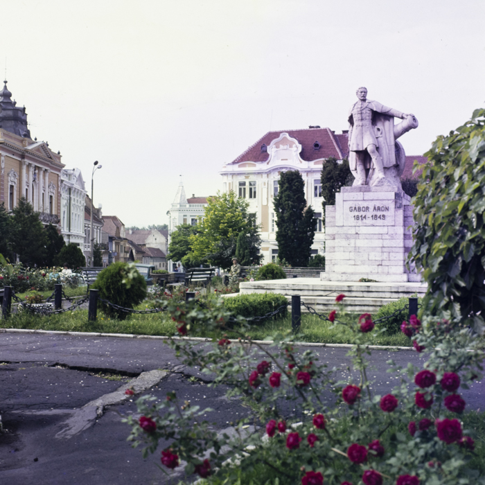 minerva_dn_1986_2829_targu_secuiesc_copil_gall_003