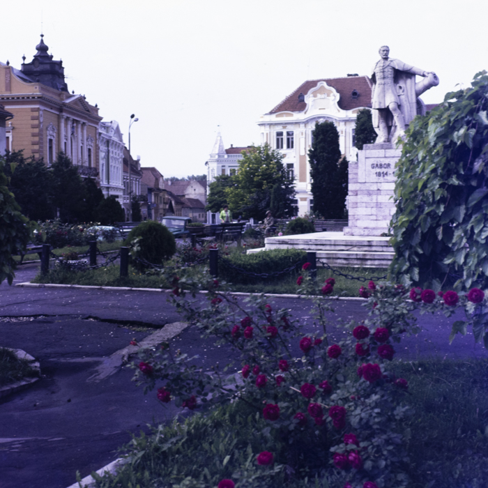 minerva_dn_1986_2829_targu_secuiesc_copil_gall_008