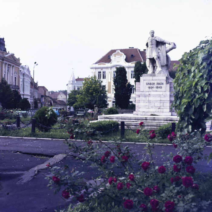 minerva_dn_1986_2829_targu_secuiesc_copil_gall_009