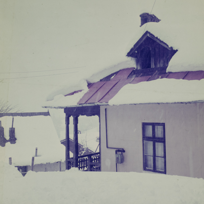 minerva_dn_1986_2829_targu_secuiesc_copil_gall_010