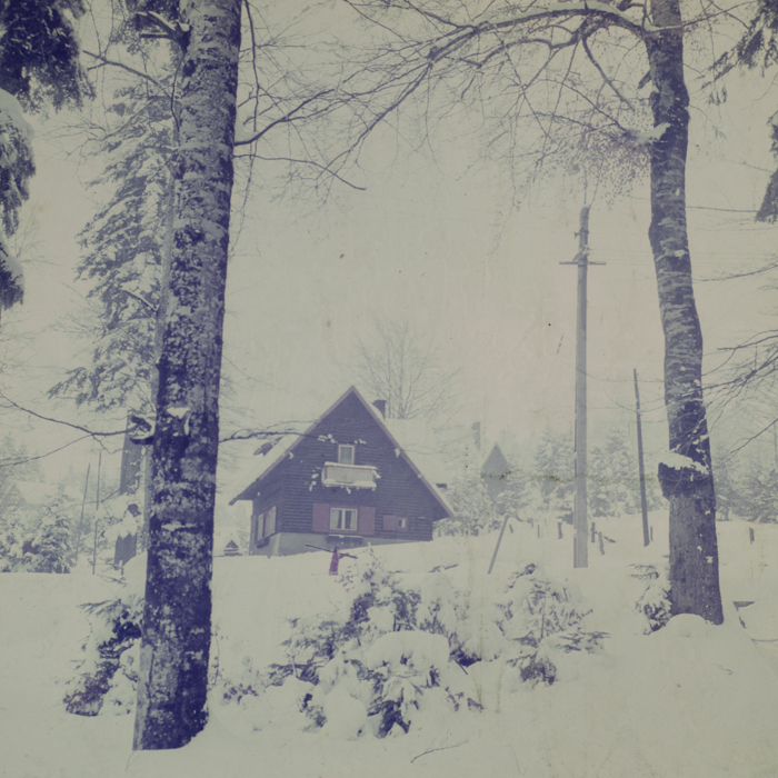 minerva_dn_1986_2829_targu_secuiesc_copil_gall_011