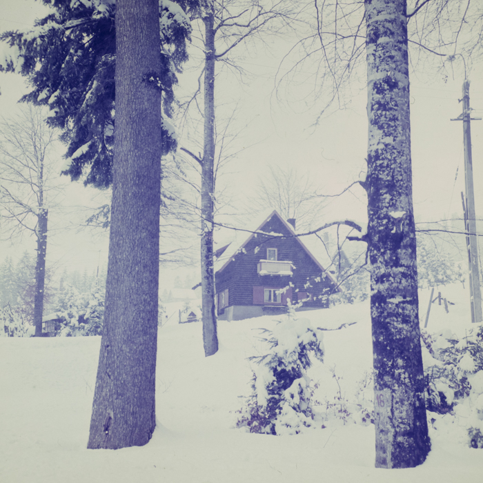 minerva_dn_1986_2829_targu_secuiesc_copil_gall_012