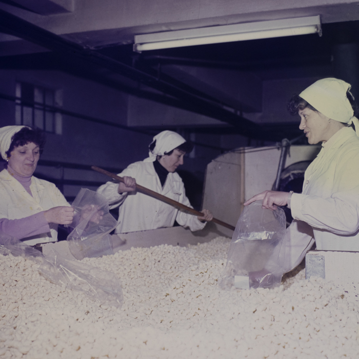 minerva_dn_1986_2837_sf_gheorghe_covasna_003