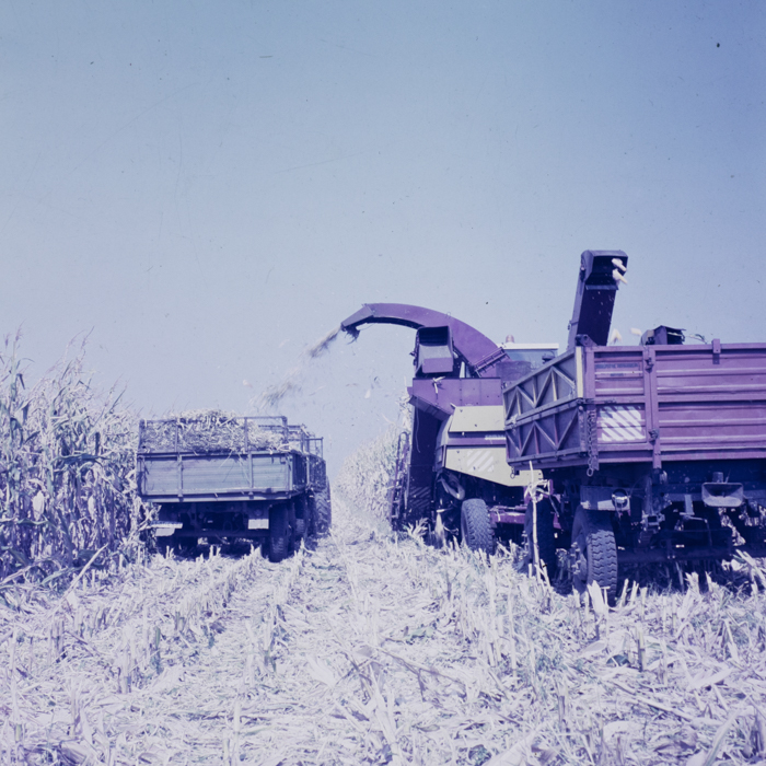 minerva_dn_1986_2921_C.A.P_jud._olt_001