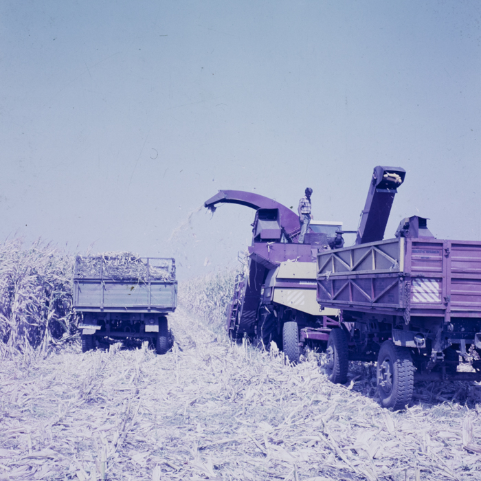 minerva_dn_1986_2921_C.A.P_jud._olt_003