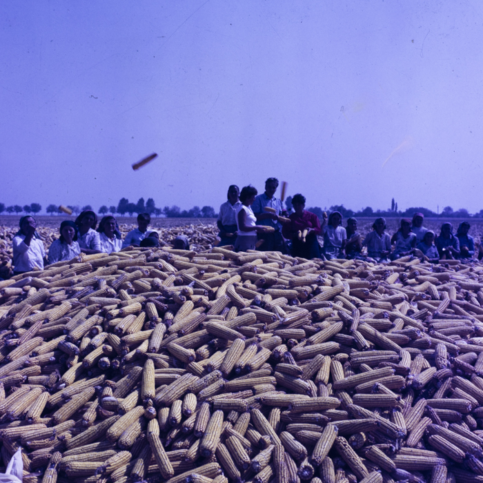 minerva_dn_1986_2921_C.A.P_jud._olt_004