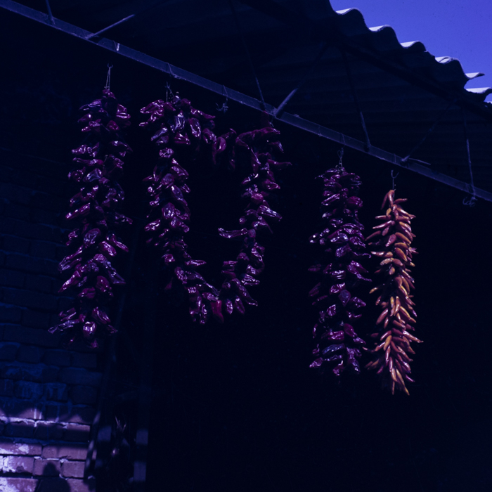 minerva_dn_1986_2921_C.A.P_jud._olt_005