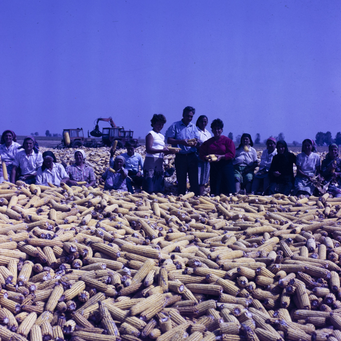 minerva_dn_1986_2921_C.A.P_jud._olt_007