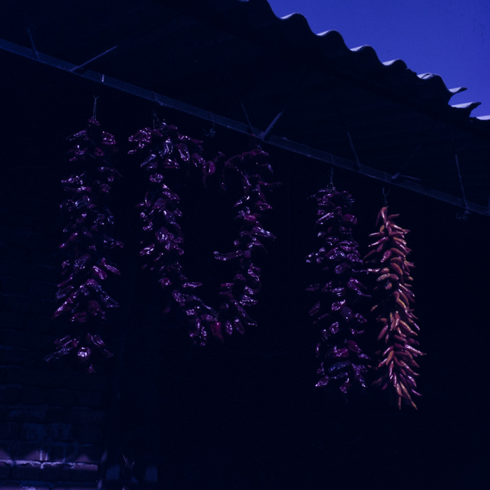 minerva_dn_1986_2921_C.A.P_jud._olt_008