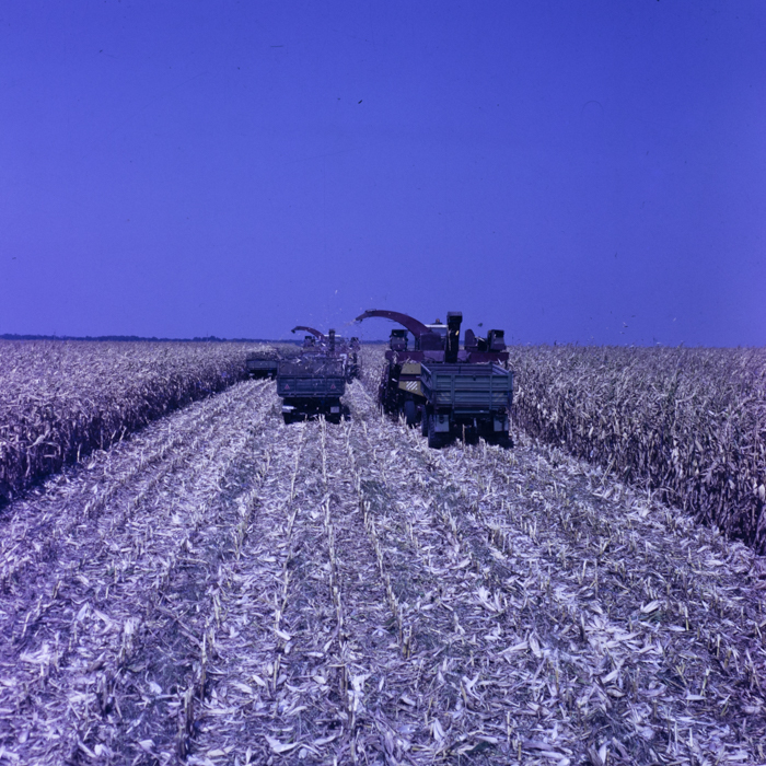 minerva_dn_1986_2921_C.A.P_jud._olt_010