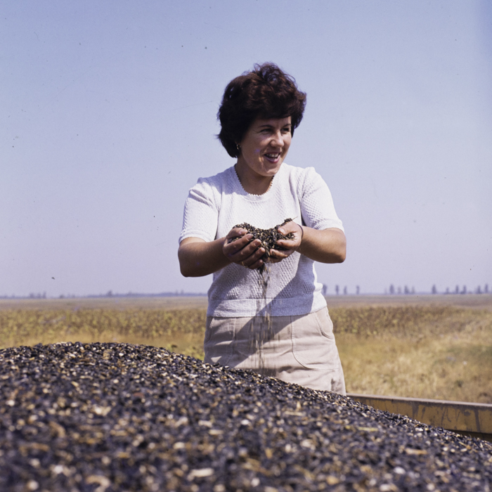 minerva_dn_1986_3835_cuasc_gruia_jud_mehedinti_001