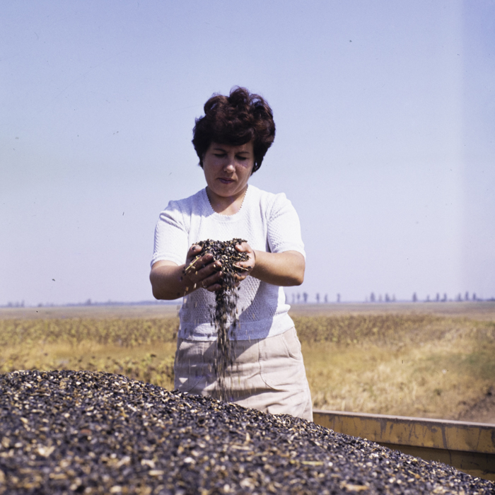 minerva_dn_1986_3835_cuasc_gruia_jud_mehedinti_005