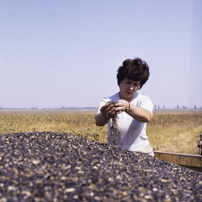 minerva_dn_1986_3835_cuasc_gruia_jud_mehedinti_006