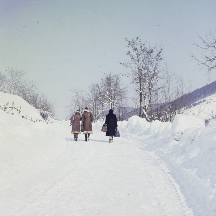 minerva_dn_1987_2856_aspecte_de_iarna_001