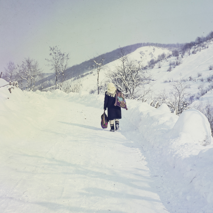 minerva_dn_1987_2856_aspecte_de_iarna_002