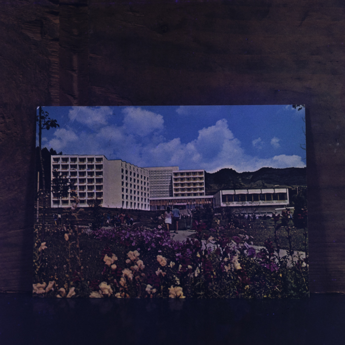 minerva_dn_1987_2865_reproduceri_001