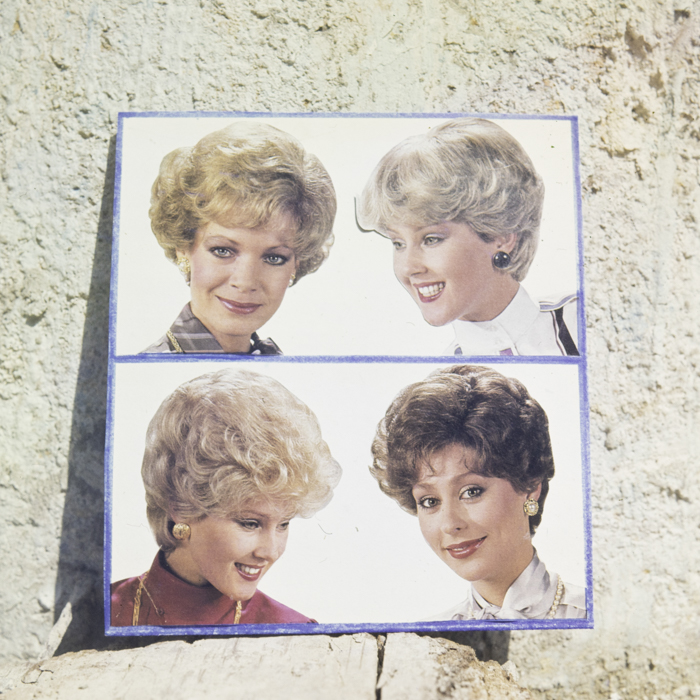 minerva_dn_1987_2865_reproduceri_002