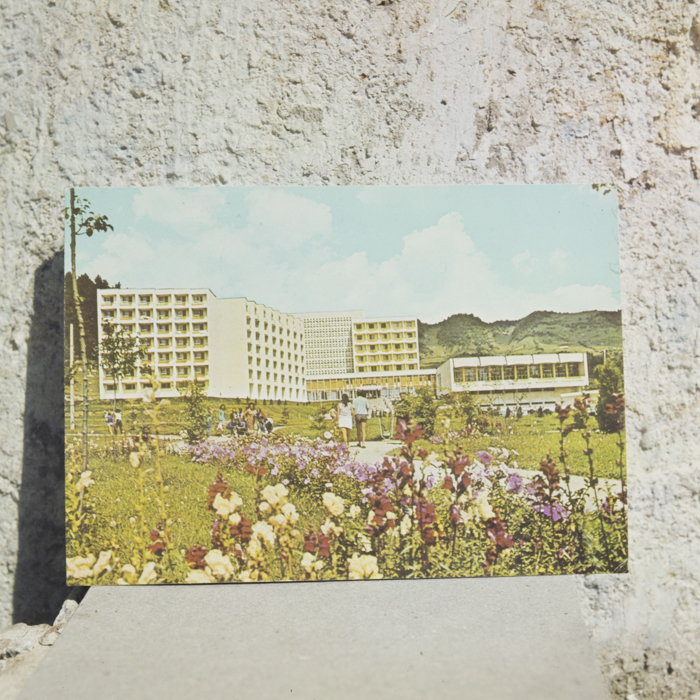 minerva_dn_1987_2865_reproduceri_003