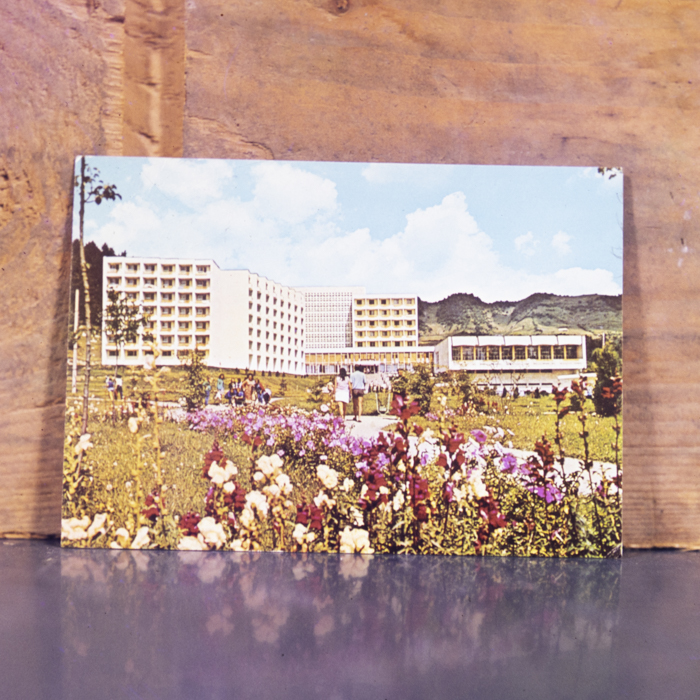 minerva_dn_1987_2865_reproduceri_011