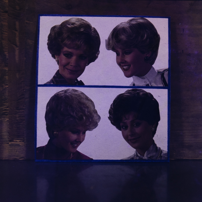 minerva_dn_1987_2865_reproduceri_012