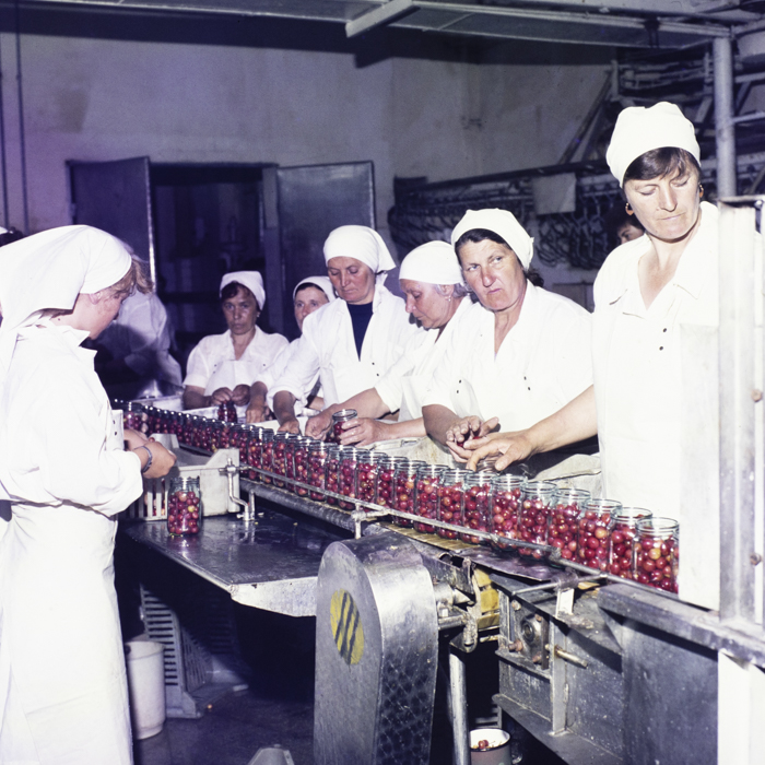 minerva_dn_1987_2875_conserve_tulcea002