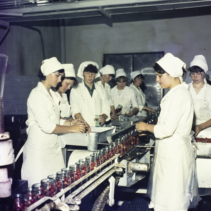 minerva_dn_1987_2875_conserve_tulcea003