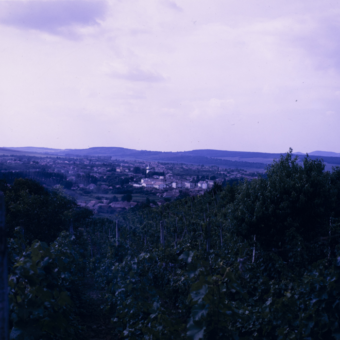 minerva_dn_1987_2885_com_crasna_jud_salaj_004