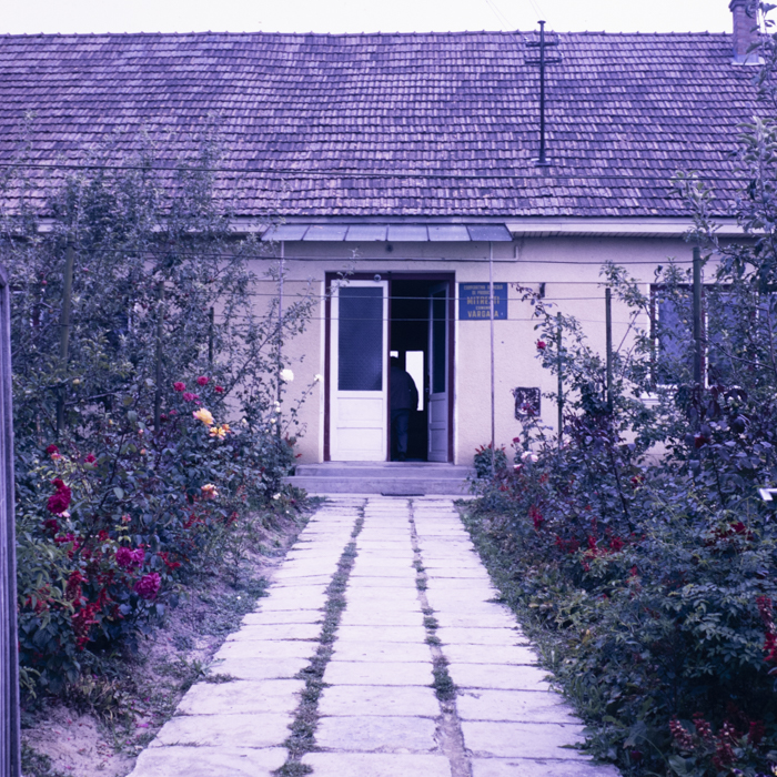 minerva_dn_1987_2888_valea_negoiului_jud_mures_005