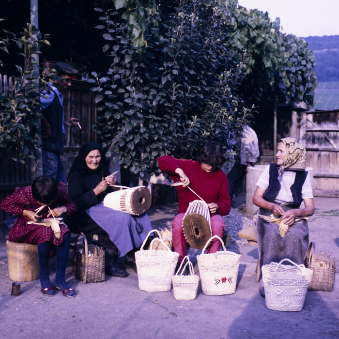 minerva_dn_1987_2888_valea_negoiului_jud_mures_006