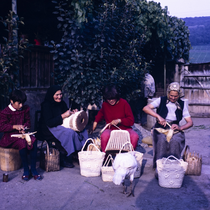 minerva_dn_1987_2888_valea_negoiului_jud_mures_007