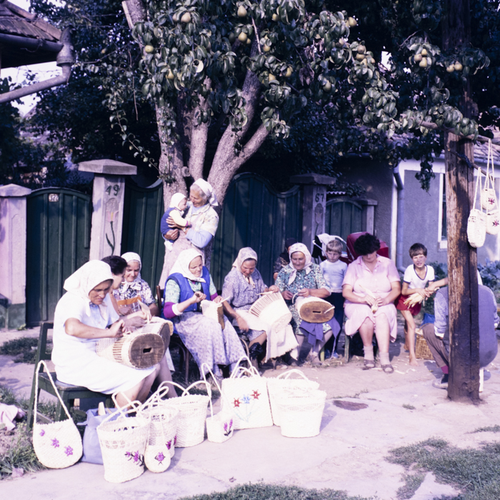 minerva_dn_1987_2888_valea_negoiului_jud_mures_010