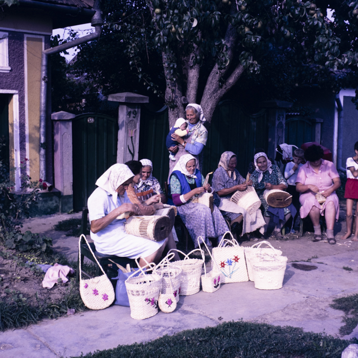 minerva_dn_1987_2888_valea_negoiului_jud_mures_011