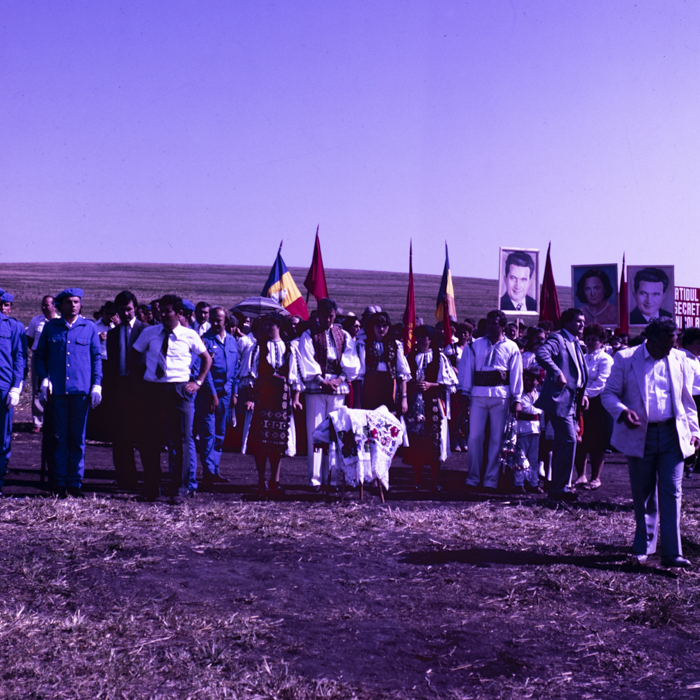 minerva_dn_1987_2900_C.A.P_pecica_arad_006