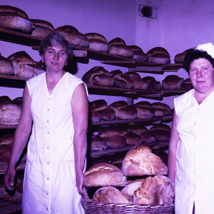 minerva_dn_1987_2900_C.A.P_pecica_arad_008