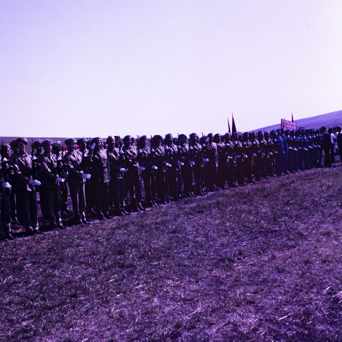 minerva_dn_1987_2900_C.A.P_pecica_arad_009