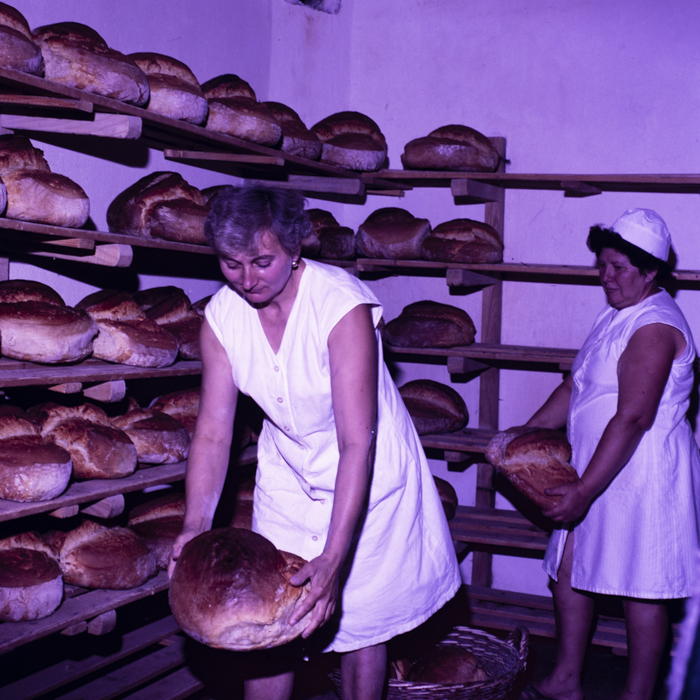 minerva_dn_1987_2900_C.A.P_pecica_arad_011