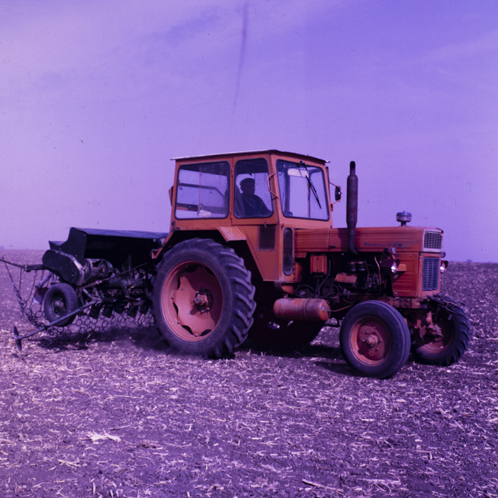 minerva_dn_1987_2900_C.A.P_pecica_arad_013