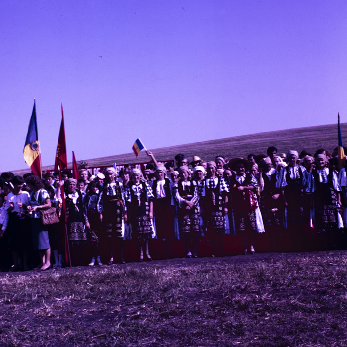 minerva_dn_1987_2900_C.A.P_pecica_arad_015