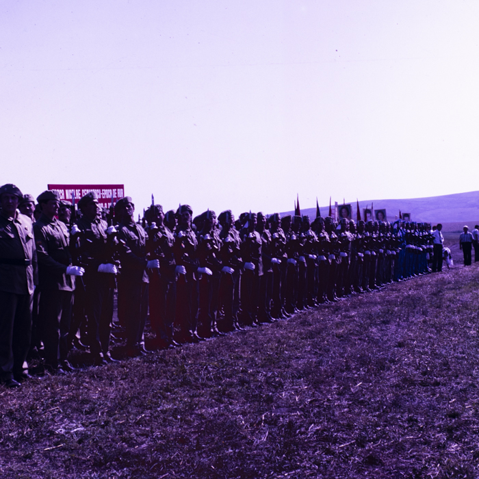 minerva_dn_1987_2900_C.A.P_pecica_arad_016