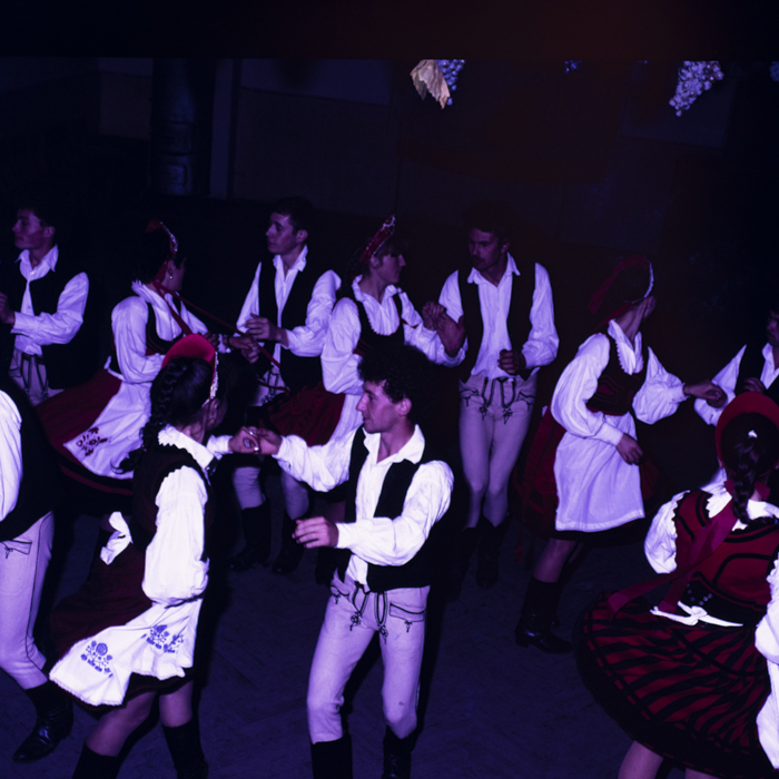 minerva_dn_1987_2902_cristuru_secuiesc_011